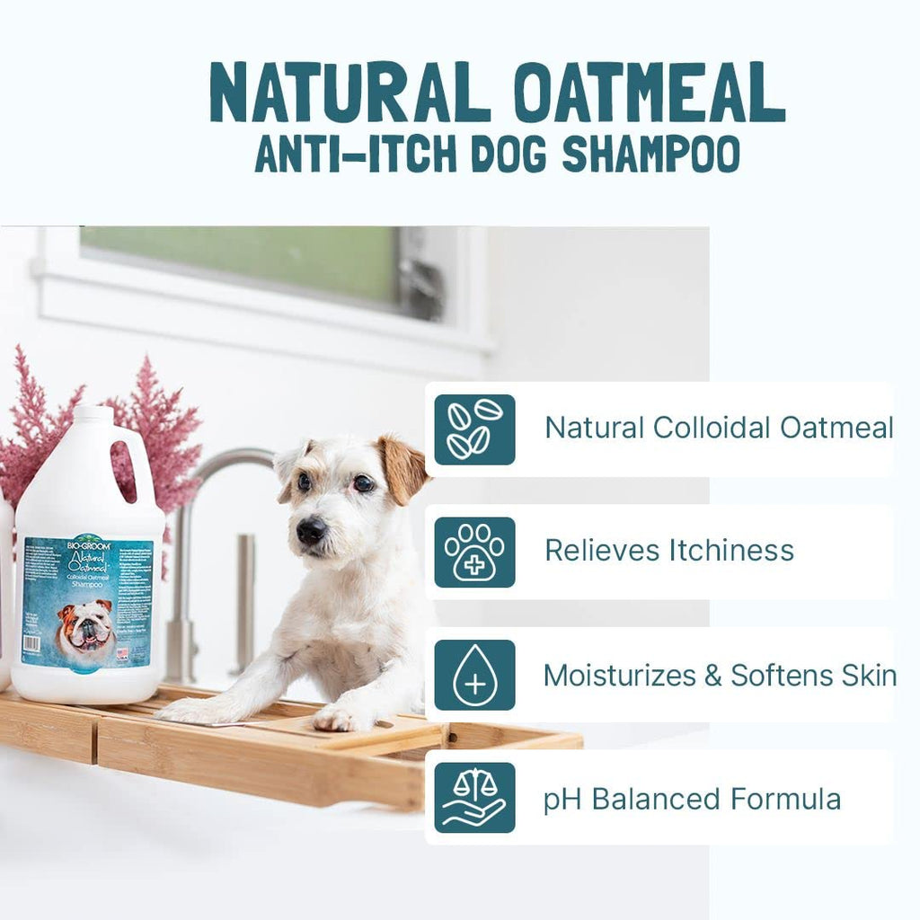 Oatmeal Dog Shampoo 1 Gallon R8909