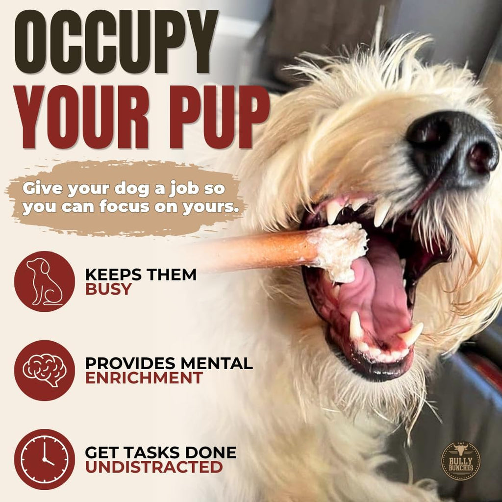 6" 5 Pack Odor-Free Bully Sticks Dog Treats I778685