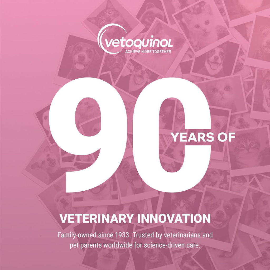 Chewable Probiotic for Pets 250 Count E53733