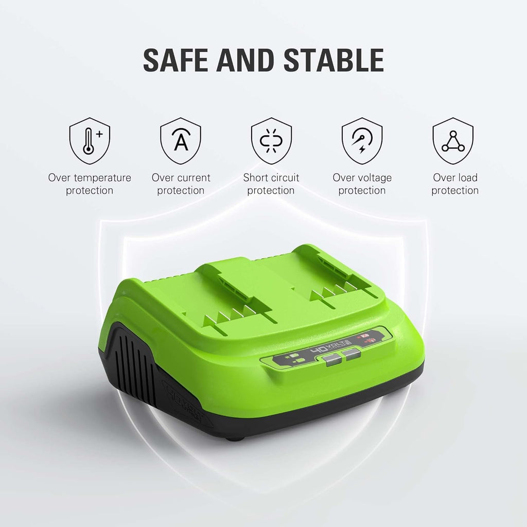 40V 2.0Ah Lithium-Ion Battery and Dual Port Rapid Charger Starter Kit N895246