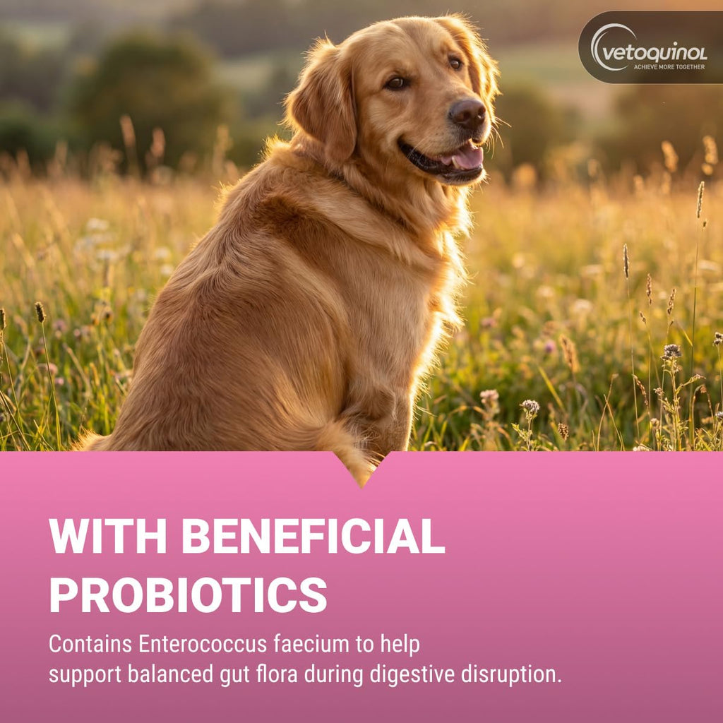 Chewable Probiotic for Pets 250 Count E53733