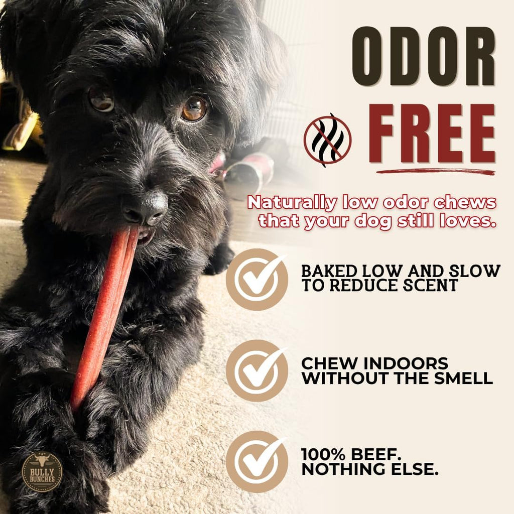 6" 5 Pack Odor-Free Bully Sticks Dog Treats I778685