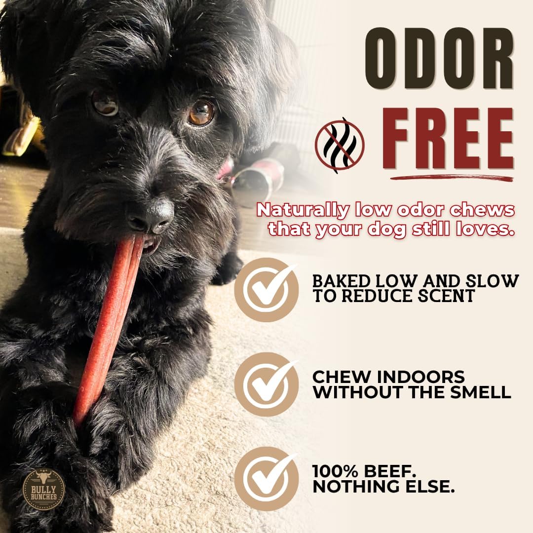 6" 5 Pack Odor-Free Bully Sticks Dog Treats I778685