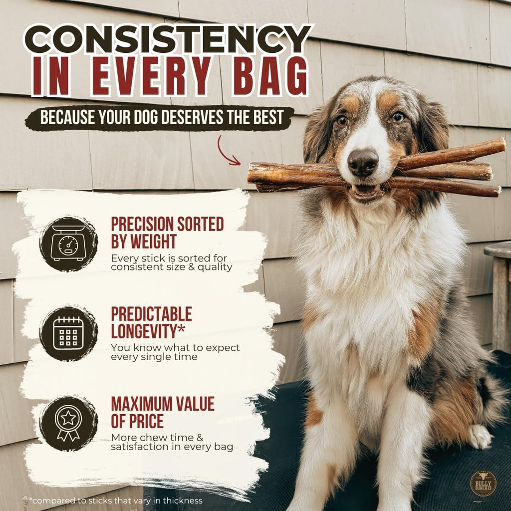 6" 5 Pack Odor-Free Bully Sticks Dog Treats I778685
