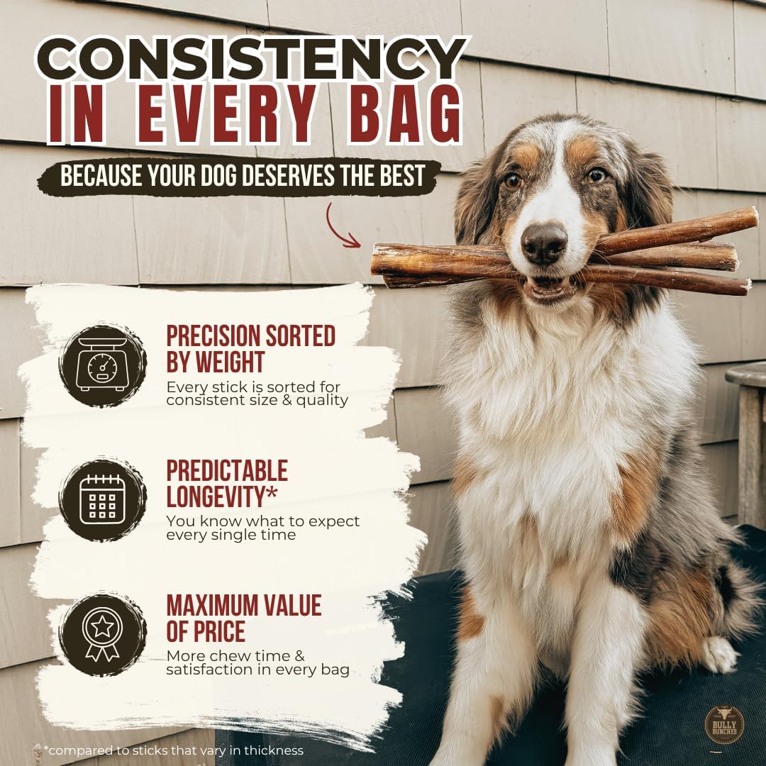 6" 5 Pack Odor-Free Bully Sticks Dog Treats I778685