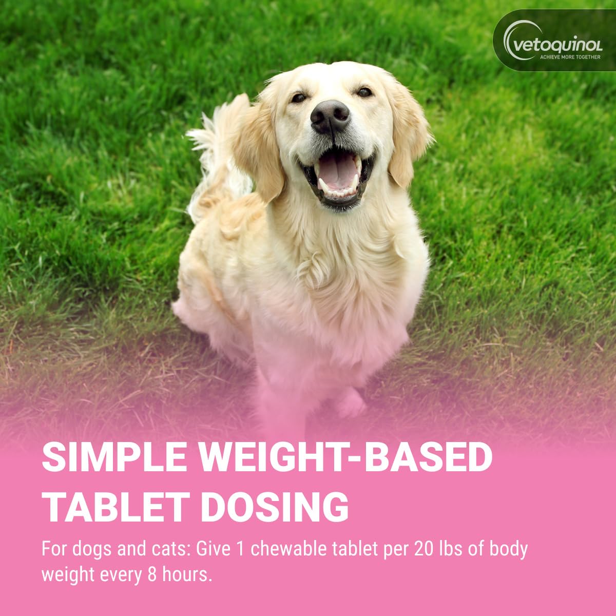 Chewable Probiotic for Pets 250 Count E53733