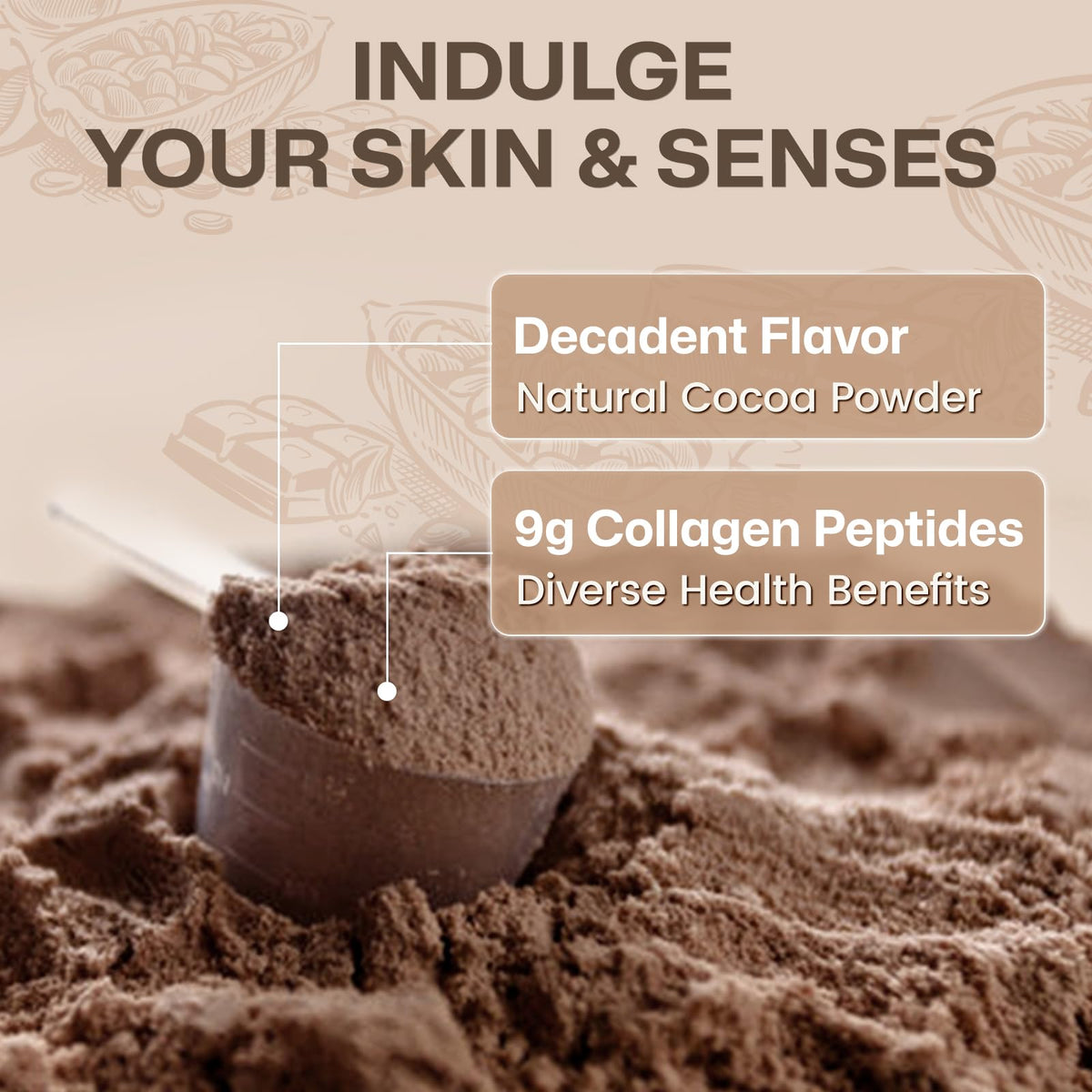 Multi Collagen Peptides Powder Chocolate Flavor 35 Servings Z75380