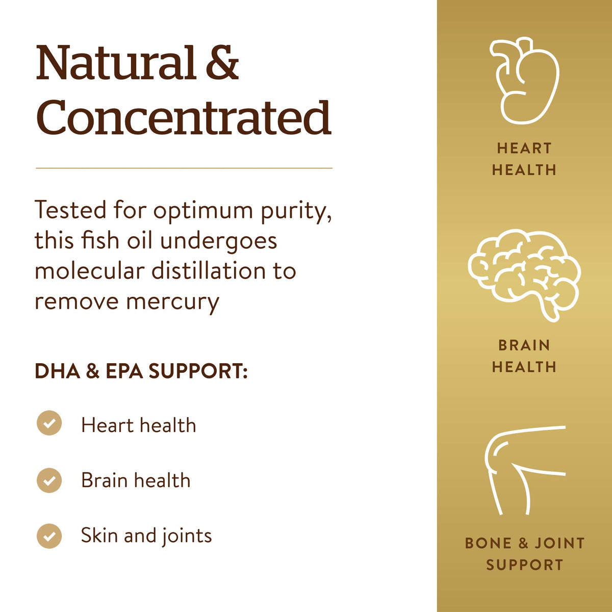 Omega-3 Fish Oil Concentrate 240 Softgels S9251