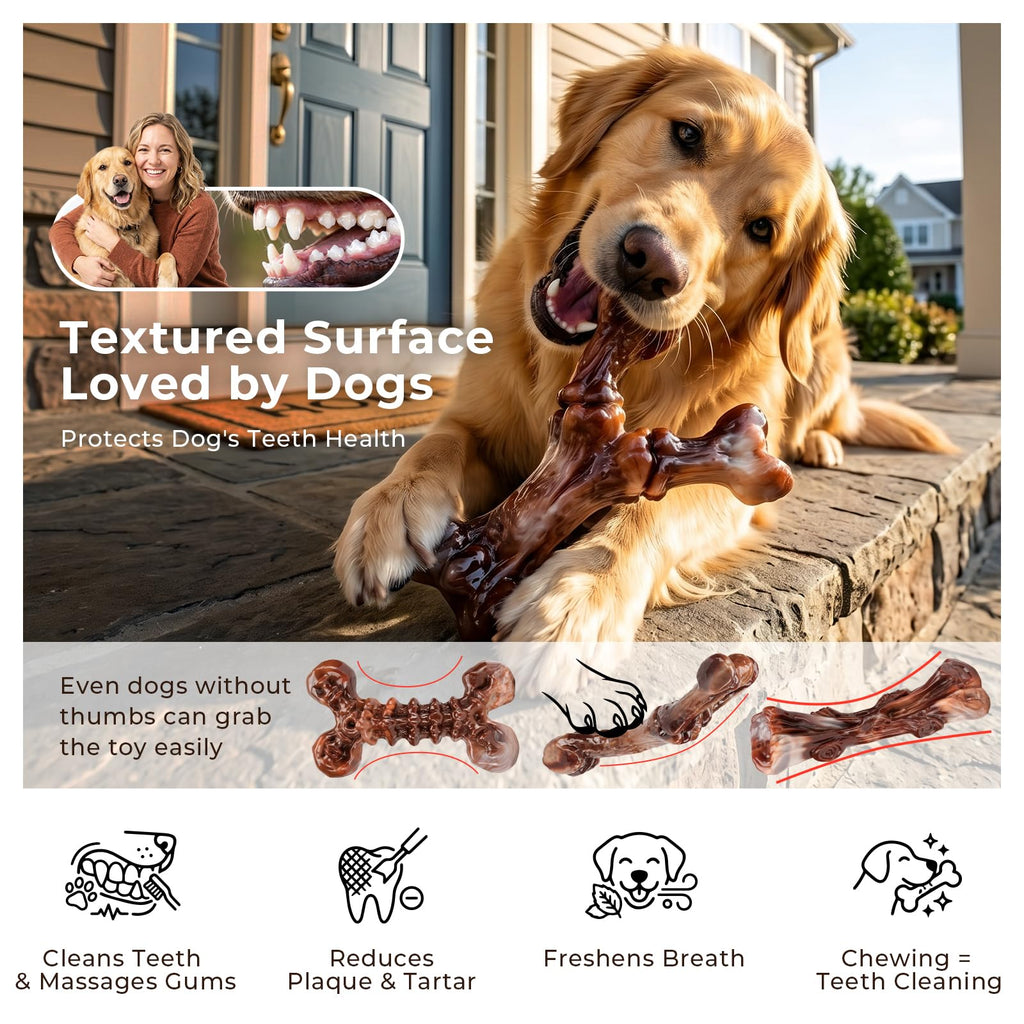 3-Pack Dog Chew Toys Y47781