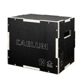 3-in-1 Non-Slip Wood Plyo Box Q61195