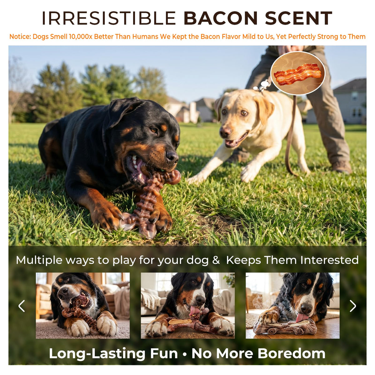 3-Pack Dog Chew Toys Y47781